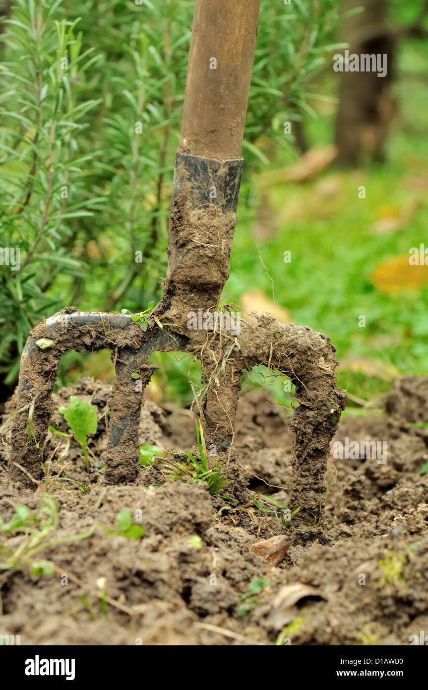 closeup of a spade planted in garden soil Stock Photo Alamy