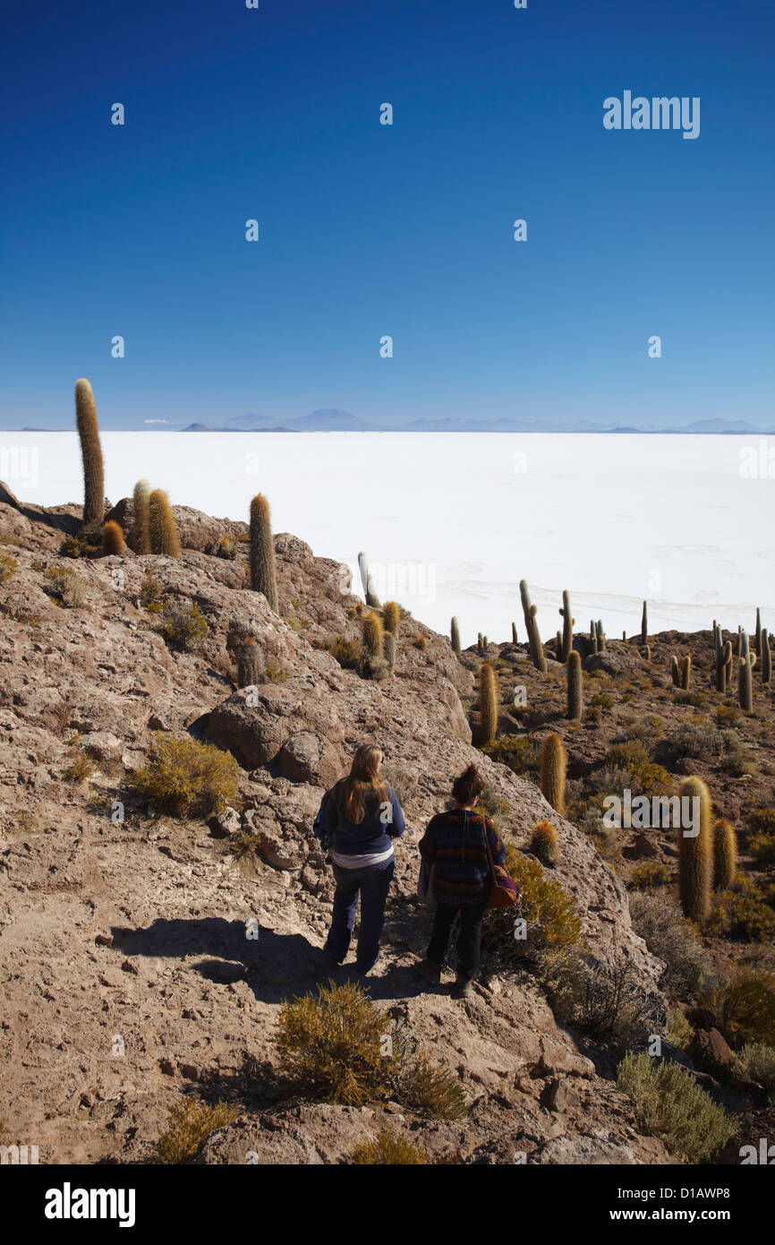 Tourists at Isla del Pescado (Fish Island) on Salar de Uyuni (Salt Flats of Uyuni), Potosi Department, Bolivia Stock Photo