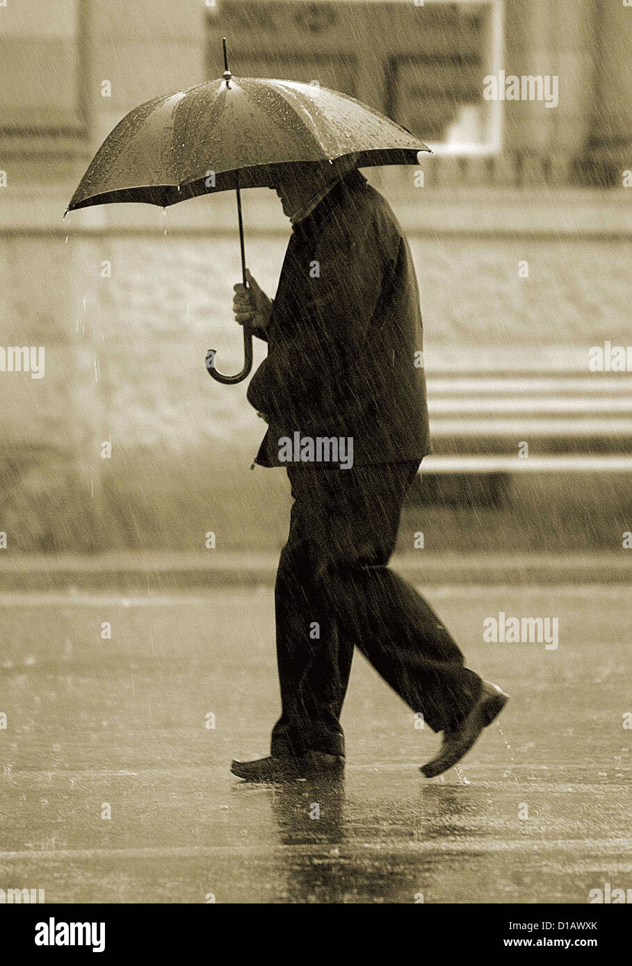 A man walking with an umbrella in the rain Stock Photo - Alamy
