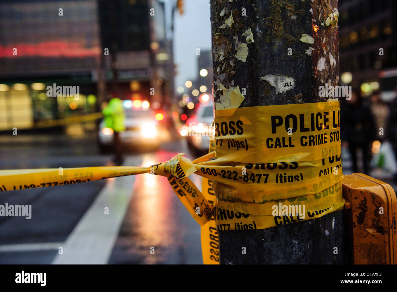 Suspects fleeing the scene of a robbery at Laird and Eglinton struck and injured a woman at Yonge and Eglinton. Stock Photo