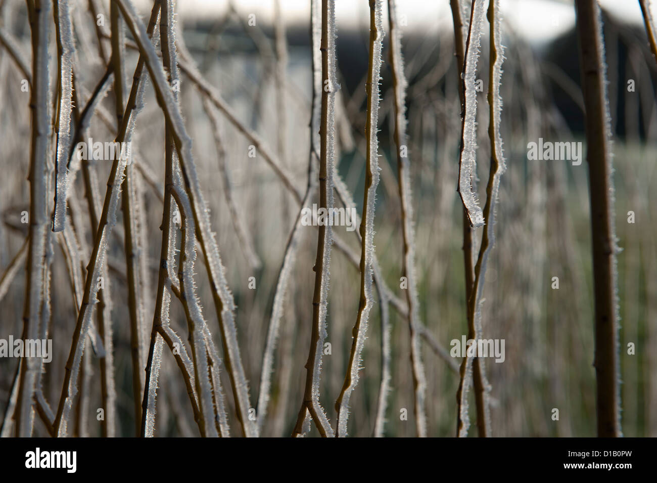 Gog magog cambridge hires stock photography and images Alamy