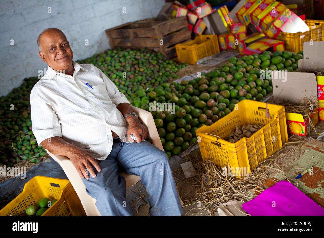 Man selling mangoes in Mysore market Stock Photo Alamy