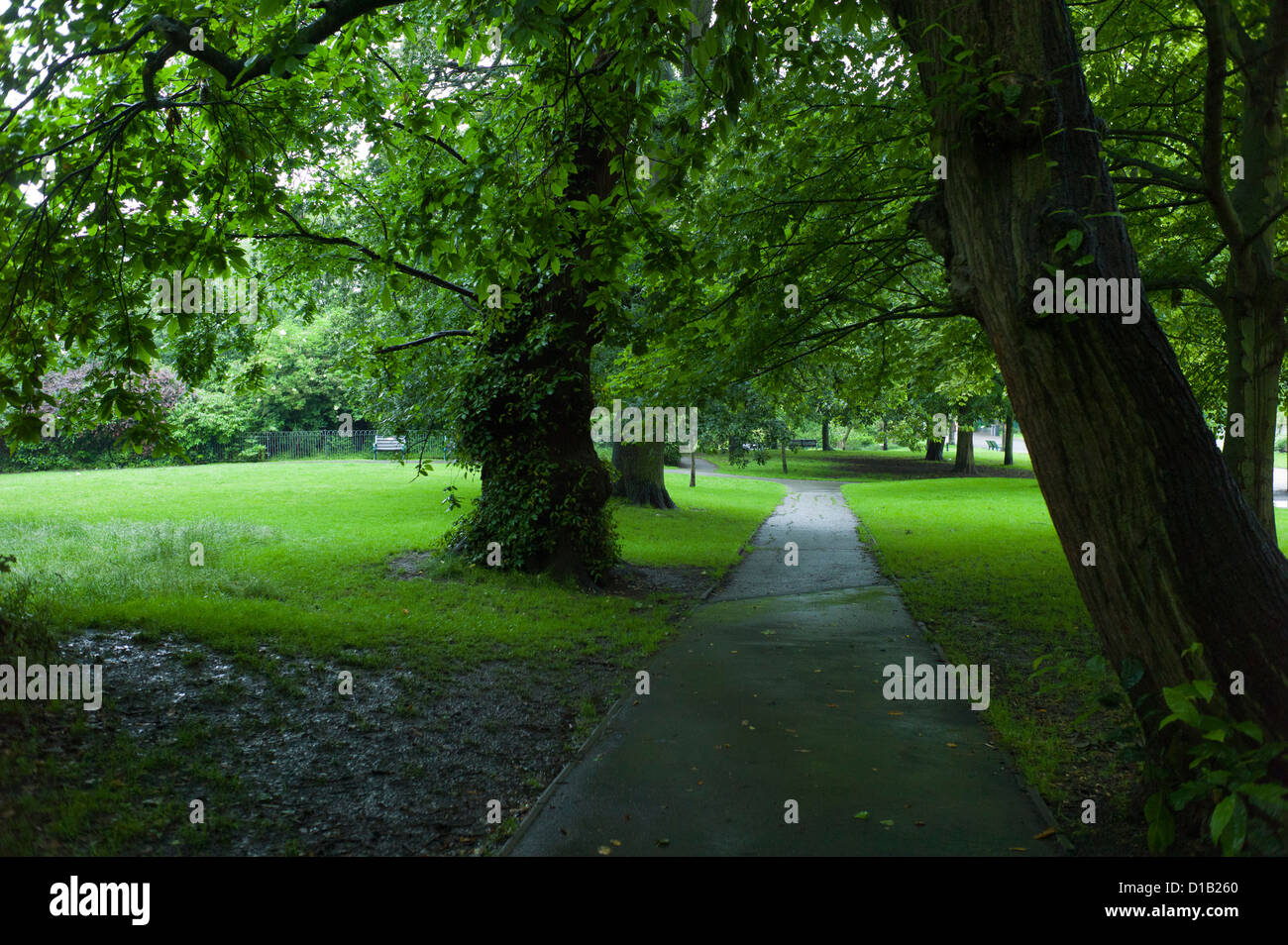 Path through trees in park, Brighton Stock Photo Alamy