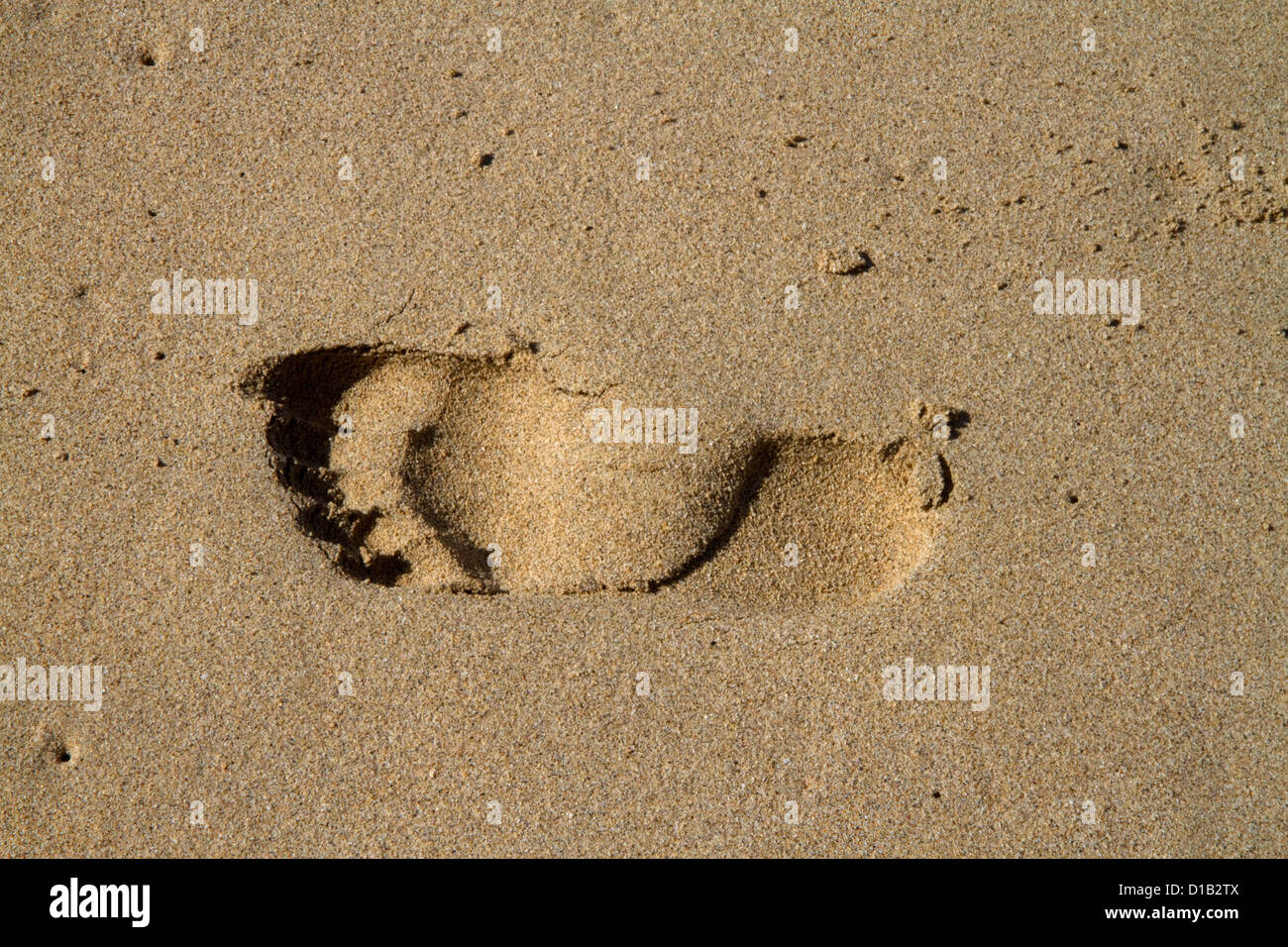Footprint in the sand at Polihale Beach and State Park located on the western side of the island of Kauai, Hawaii, USA. Stock Photo