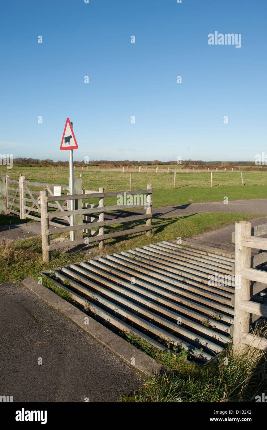 Britiish Rural road cattle grid and road sign Stock Photo