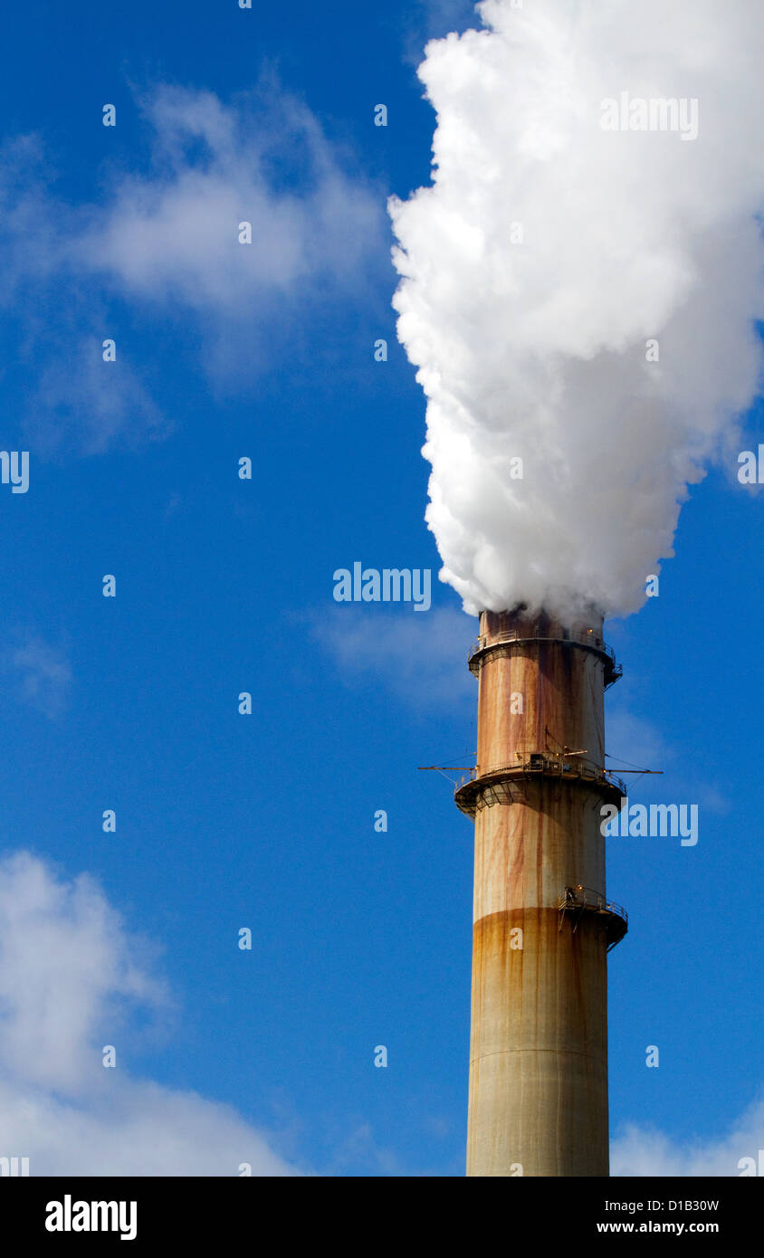 Smoke and steam emission at the TECO Tampa Electric Big Bend Power Station located in Apollo Beach, Florida, USA. Stock Photo