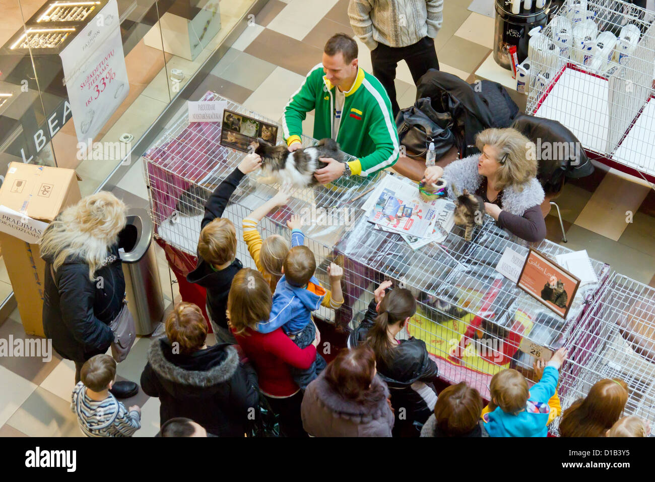 International exhibition and sale of purebred cats. Vilnius, Lithuania, in November 2012. Children want to pet a furry cat. On t Stock Photo
