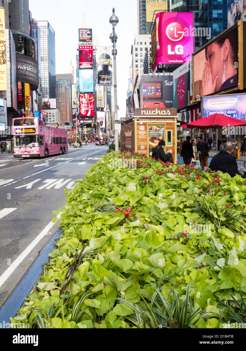 Planted Traffic Divider and Double Decker Tour Bus, Times Square, NYC Stock Photo