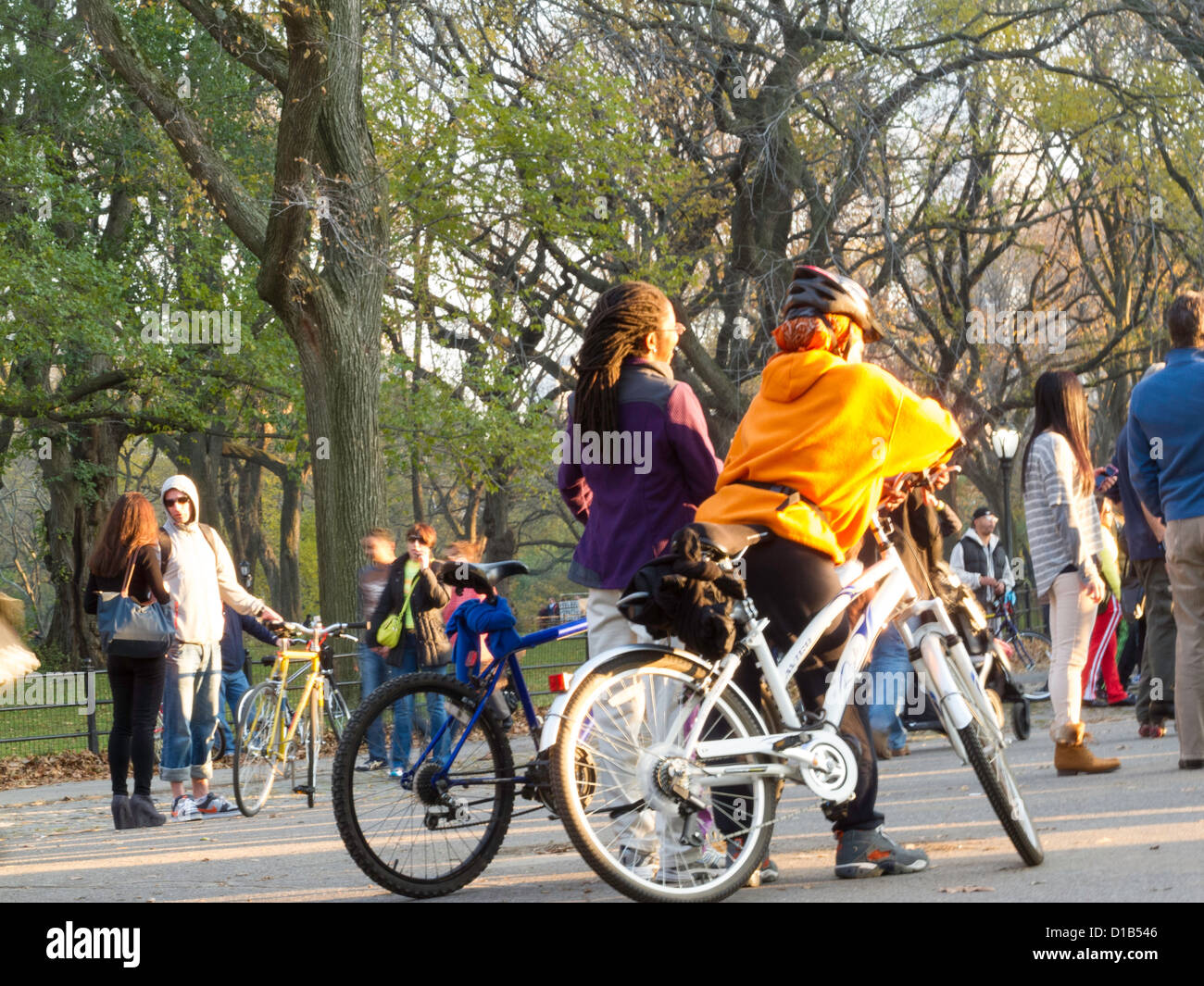 Tourists on Bikes, Central Park, NYC Stock Photo