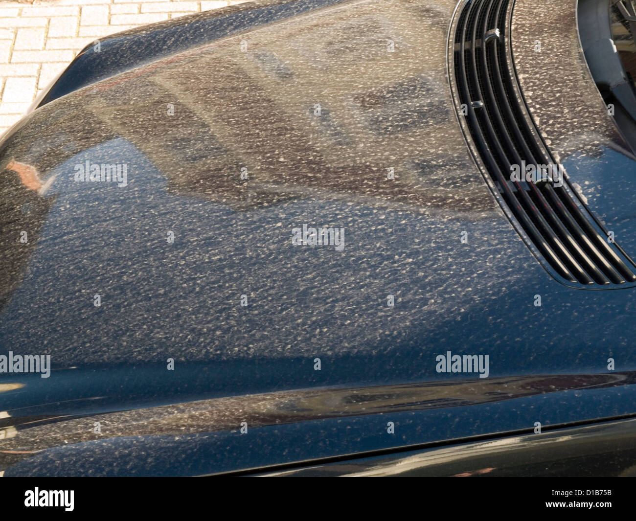 a black car shows up the dust and dirt on its paintwork Stock Photo Alamy