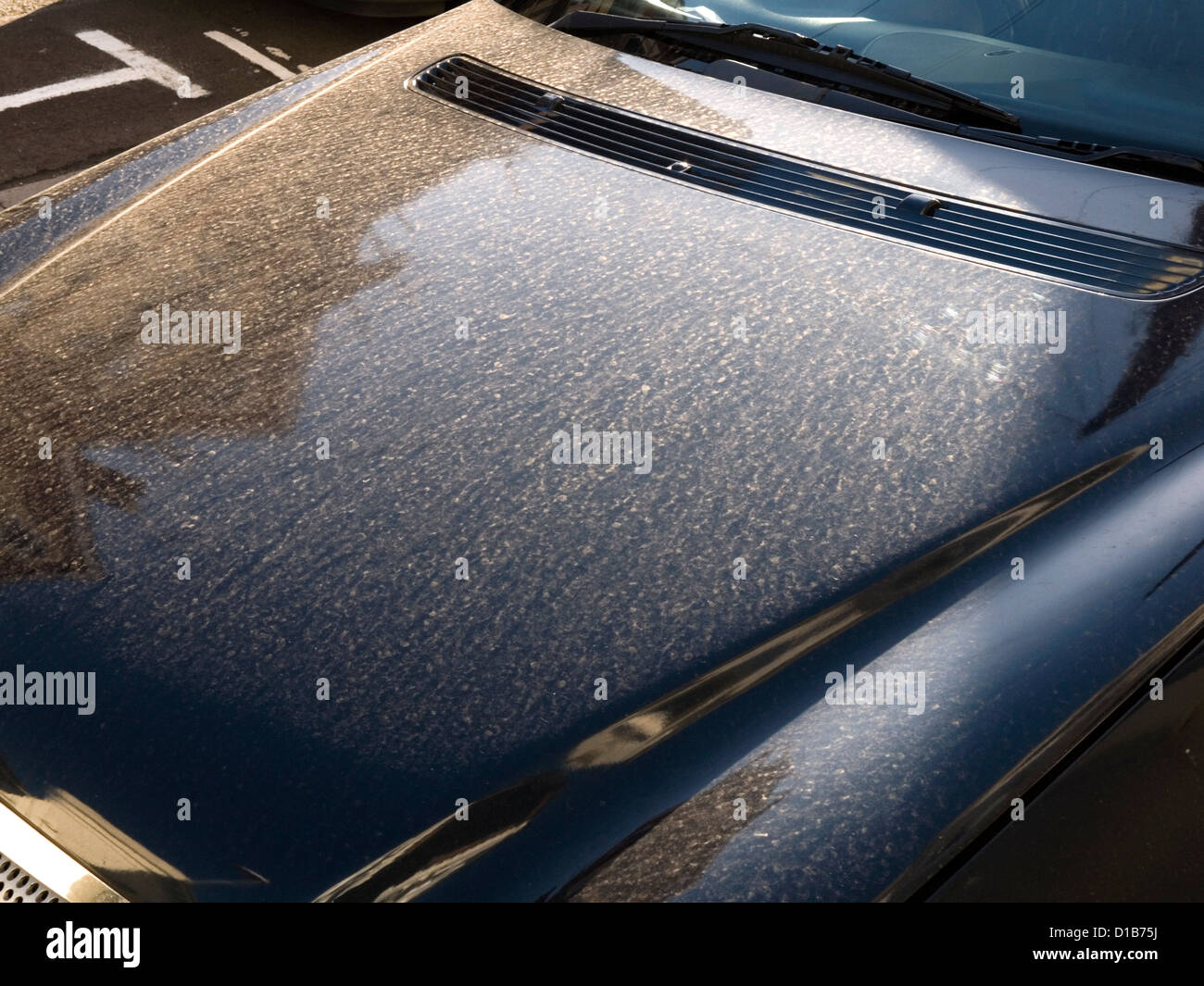 a black car shows up the dust and dirt on its paintwork Stock Photo