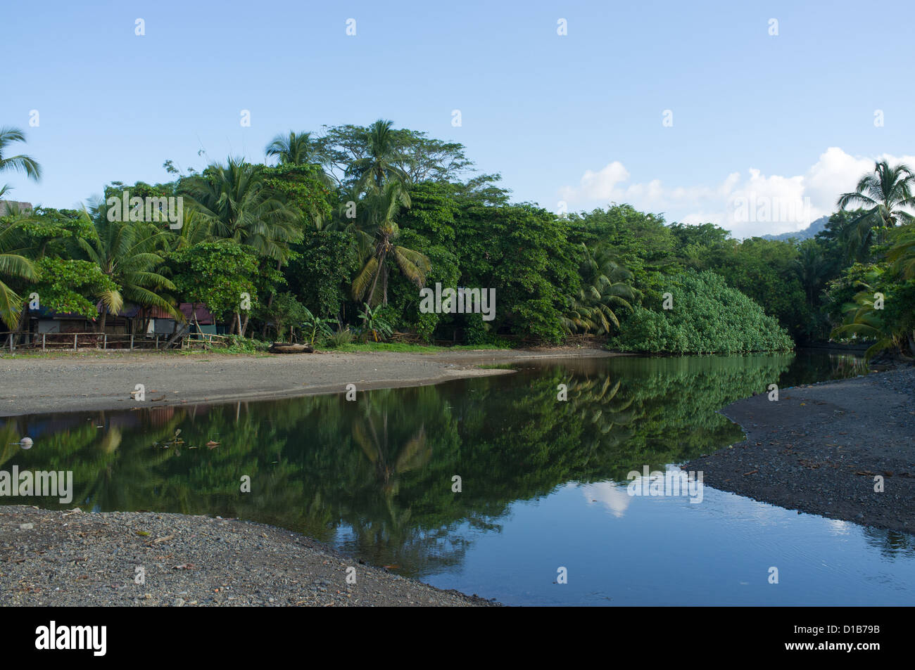 lush-jungle-river-in-costa-hi-res-stock-photography-and-images-alamy