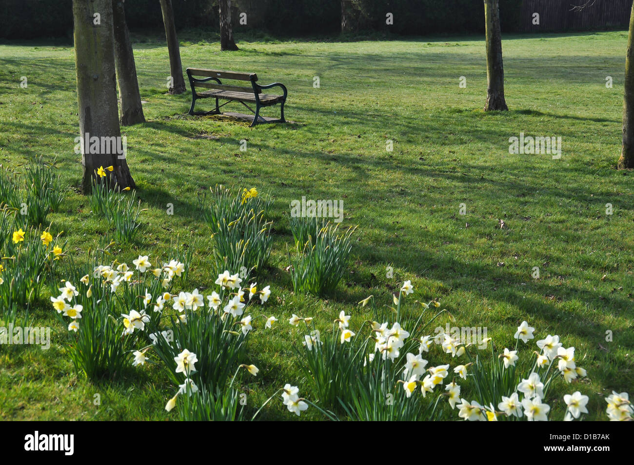 Quiet setting. A park bench in a springtime setting Stock Photo - Alamy