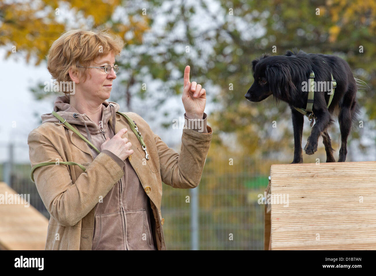 agility training at a pet obedience school Stock Photo