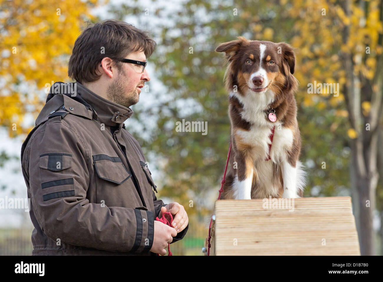agility training at a pet obedience school Stock Photo
