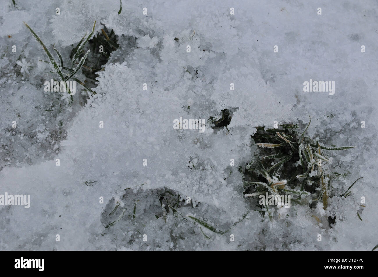 Ice Crystals in the Snow Stock Photo