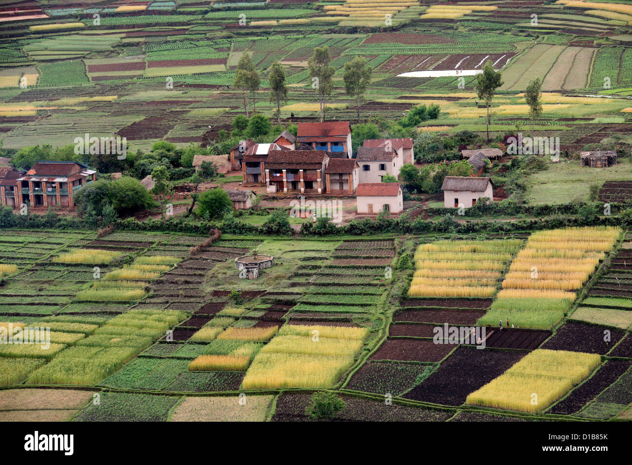 Rural Farming Community and Surrounding Countryside from Lake Tritriva