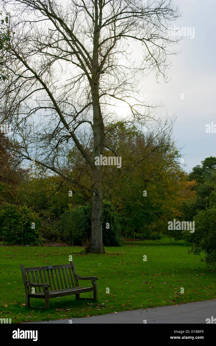 Autumn season at Kew Gardens, London Stock Photo