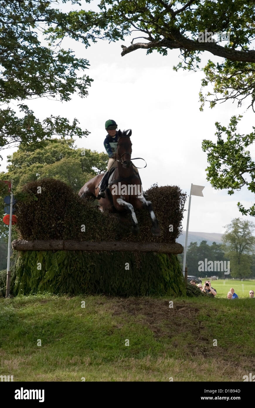 Female Rider Jumping a Brush Fence on a Bay Horse Stock Photo