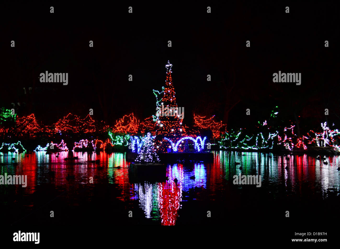 Sparkling Holiday LIghts Stock Photo - Alamy