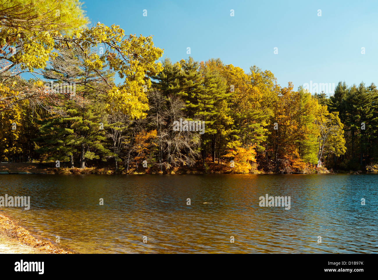 Fall colors by the lake in New England Stock Photo