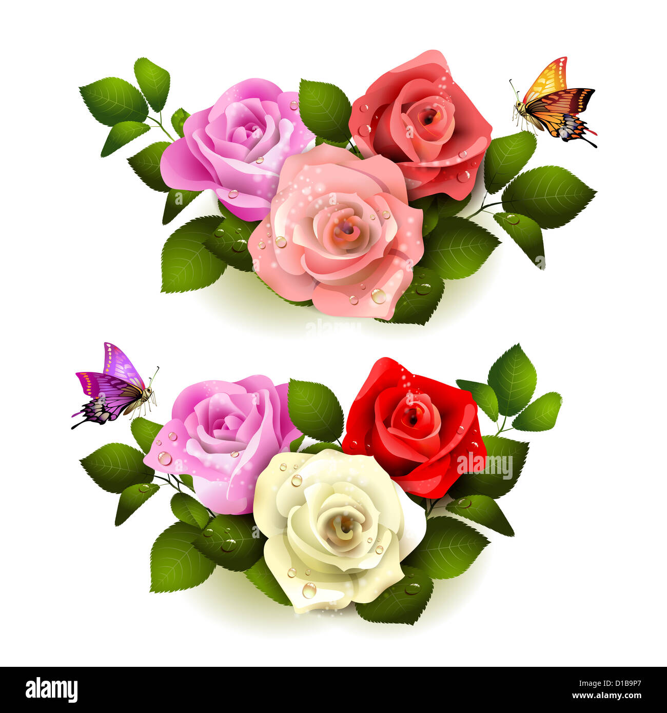 Roses with butterflies on white background Stock Photo - Alamy