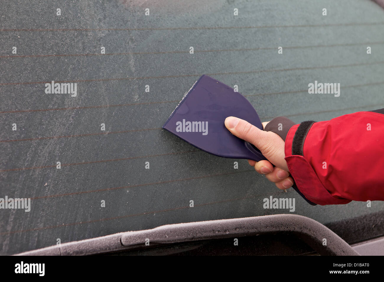Clearing the frost off rear window of car in cold icy British weather Stock Photo Alamy