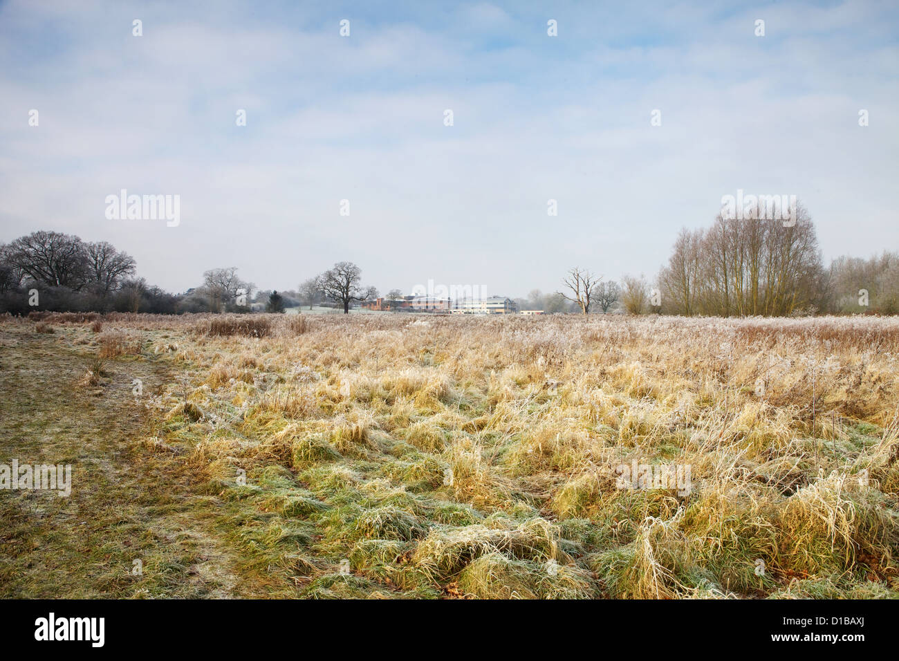 Solihull 6th Form College from the Nature Reserve behind Brueton and Malvern Parks in Solihull West Midlands during winter frost Stock Photo