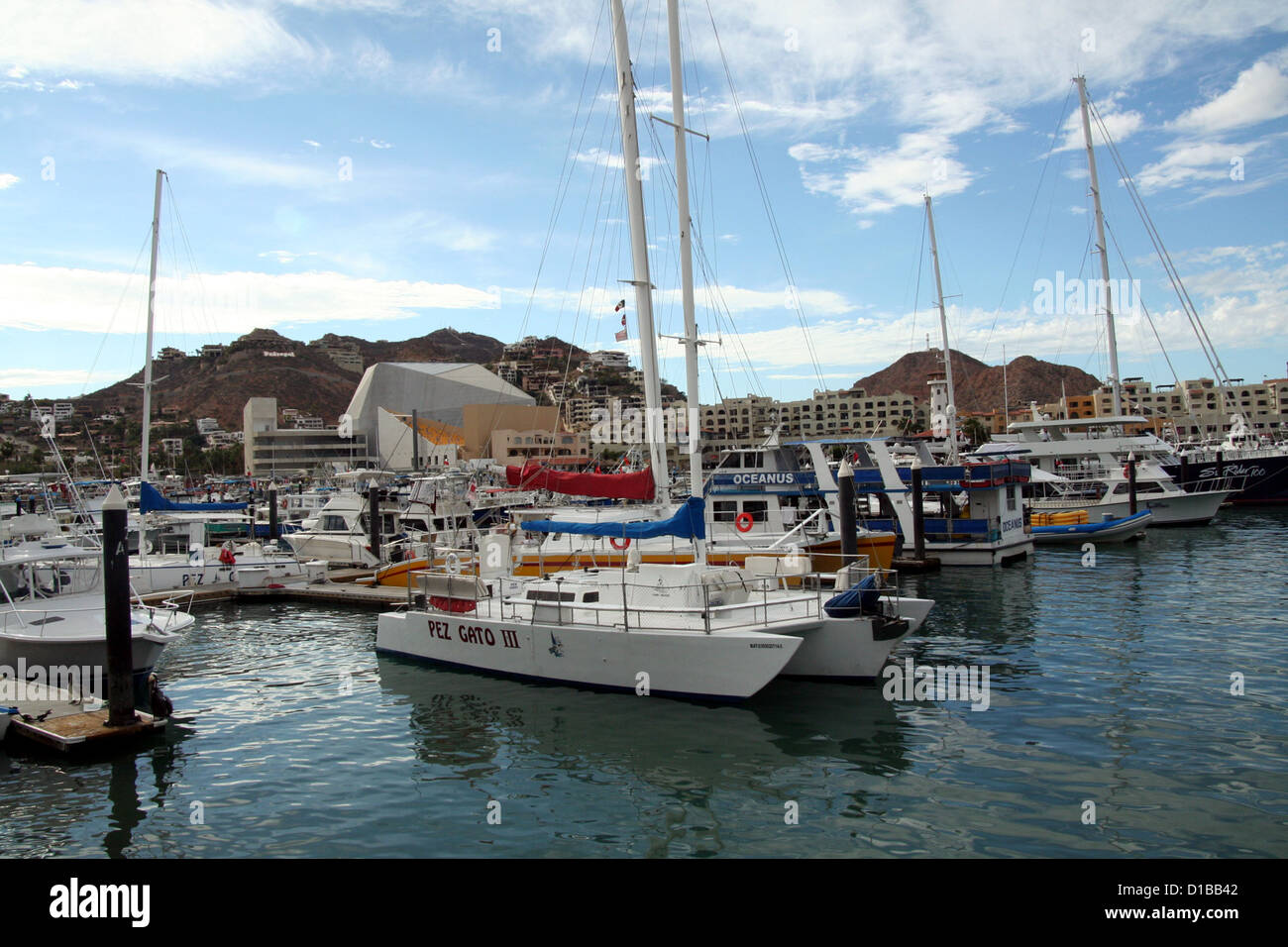 Boats and yachts at Cabo San Lucas Marina Stock Photo - Alamy