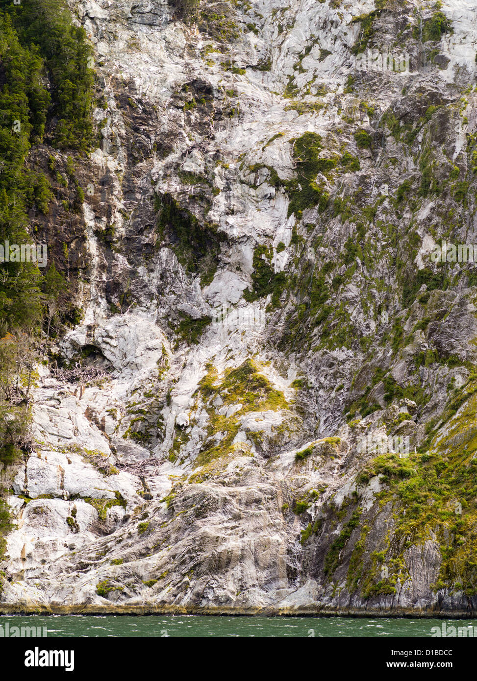 Folded granite exposed after a treeslide along Milford Sound/Piopiotahi, Fiordland National Park, New Zealand Stock Photo