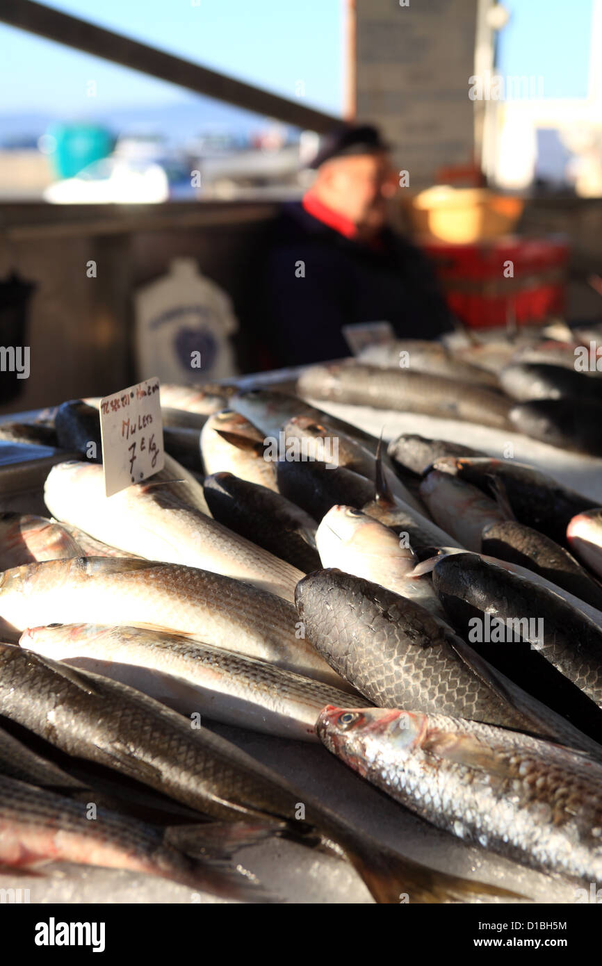 Fish market stall in the city of Saint Raphael Stock Photo Alamy