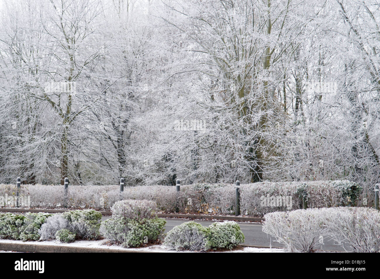 Clifford park hires stock photography and images Alamy