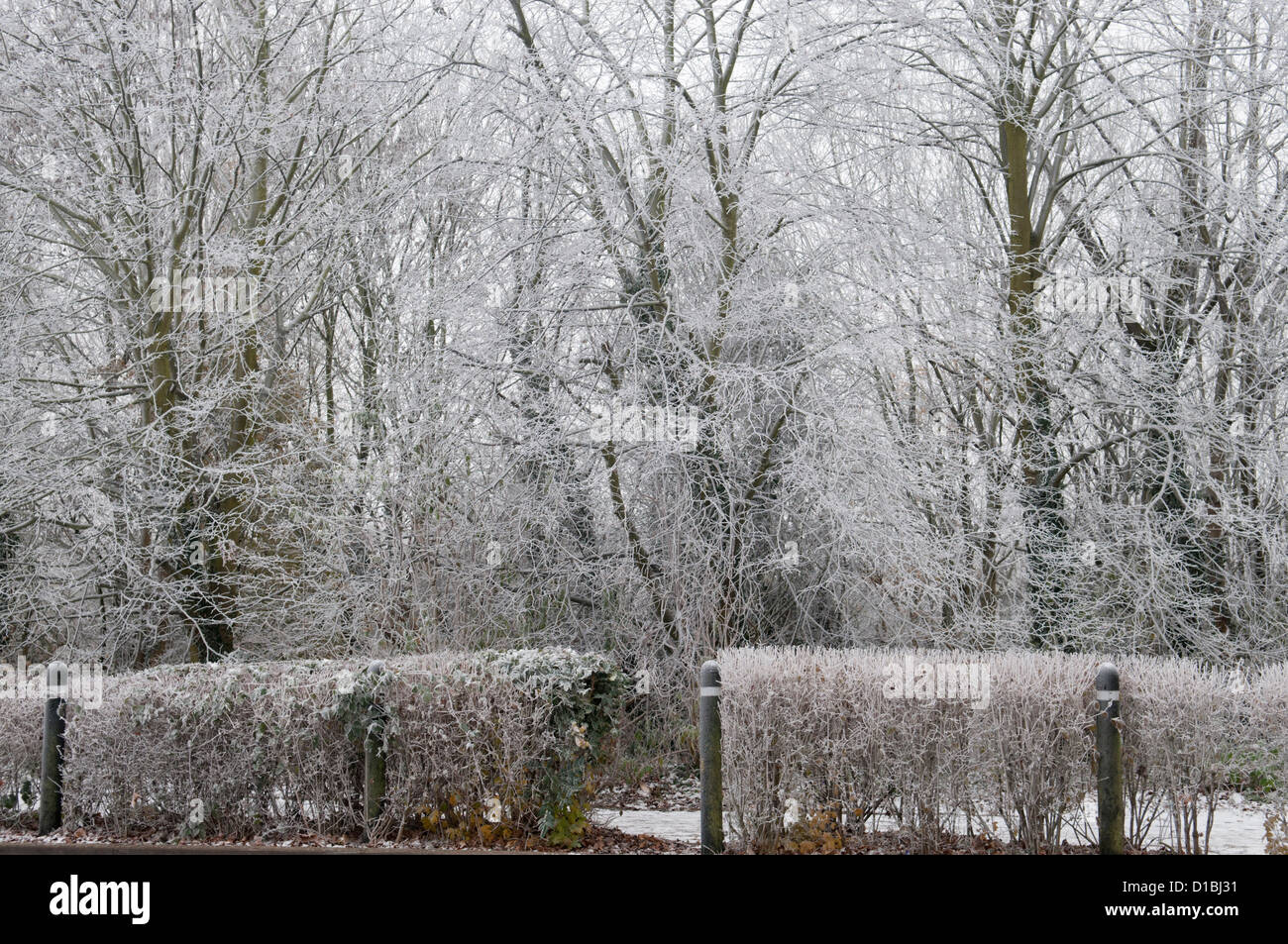 Clifford park hires stock photography and images Alamy