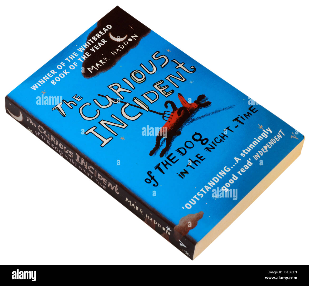 The Curious Incident of the Dog in the Night Time by Mark Haddon