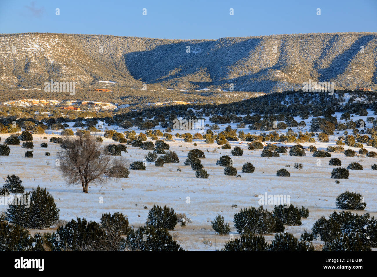 A dusting of snow in the Cibola National Forest, near Mountainair, New