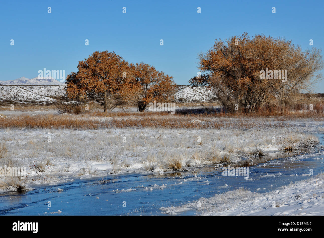 Frost and snow in the frozen crane ponds, Bosque del Apache NWR, New Mexico, USA Stock Photo