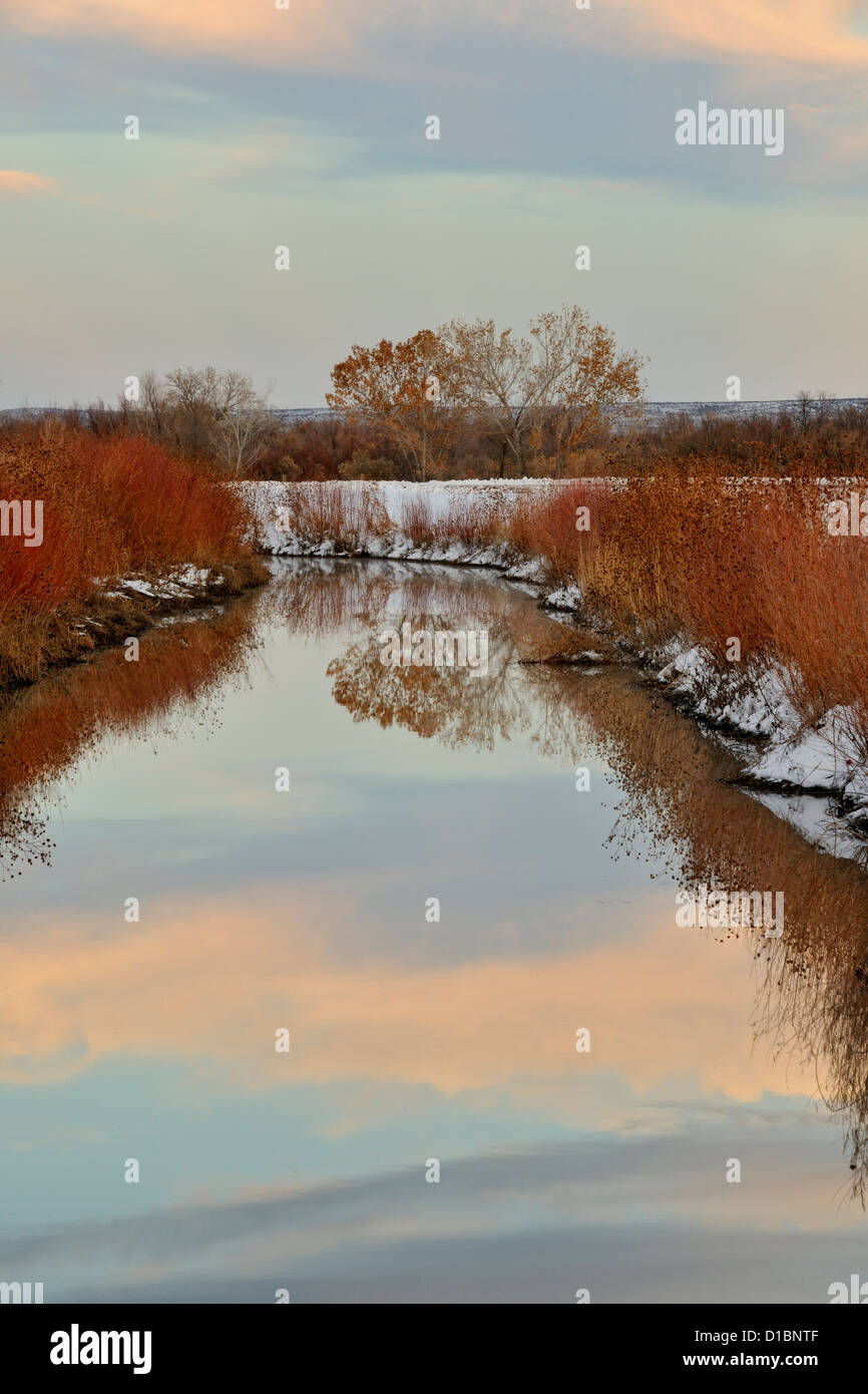 Sky reflections in a water diversion canal, Bosque del Apache National Wildlife Refuges New