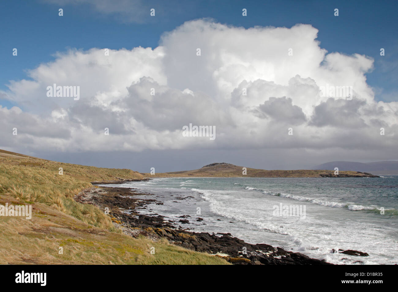 View on Carcass Island towards Leopard beach with cumulus clouds Stock Photo