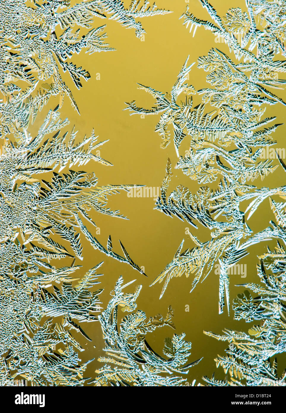 Frost crystals on window glass. Stock Photo