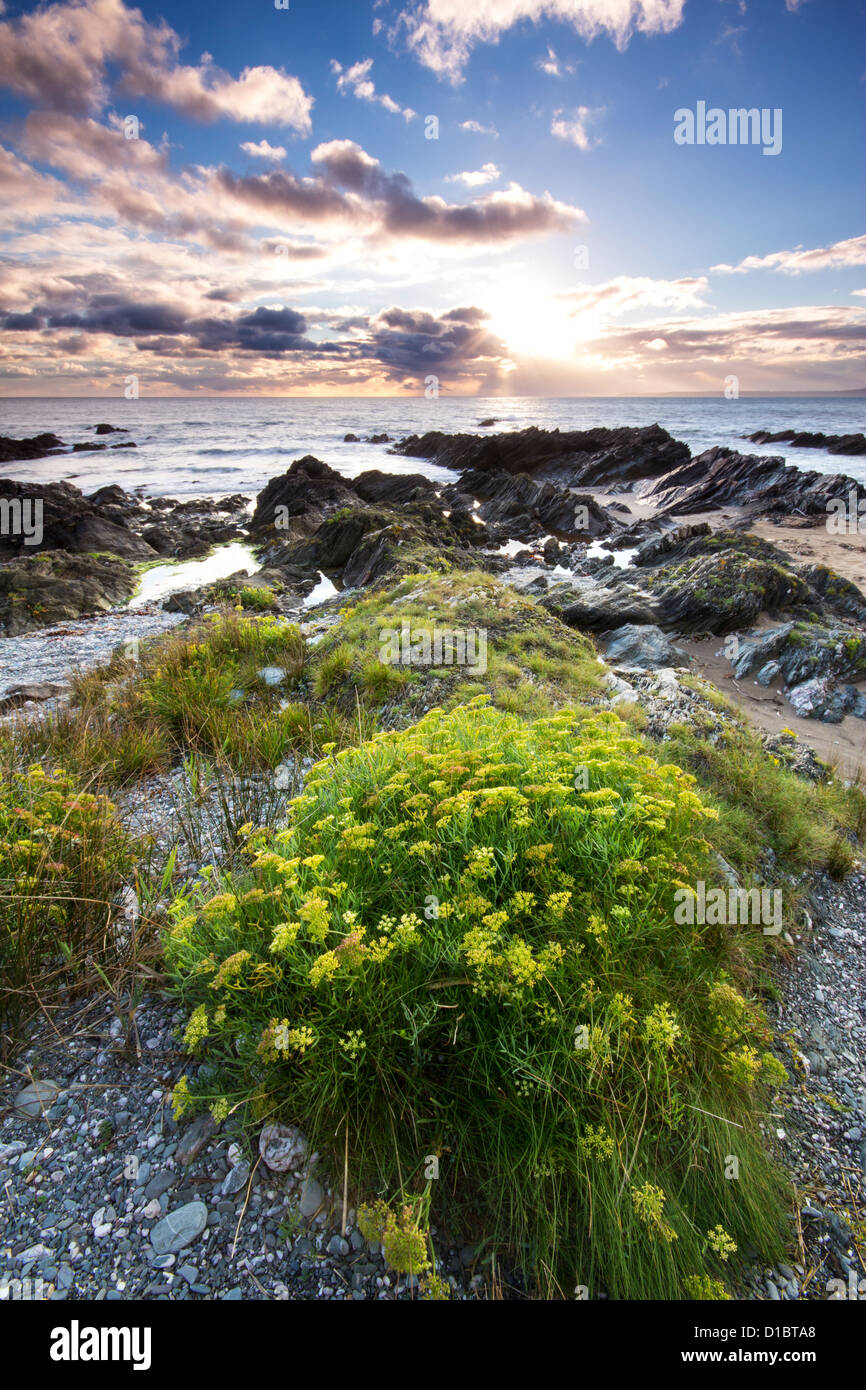 Twilight approaches over Polhawn Beach Whitsand Bay Cornwall UK Stock Photo