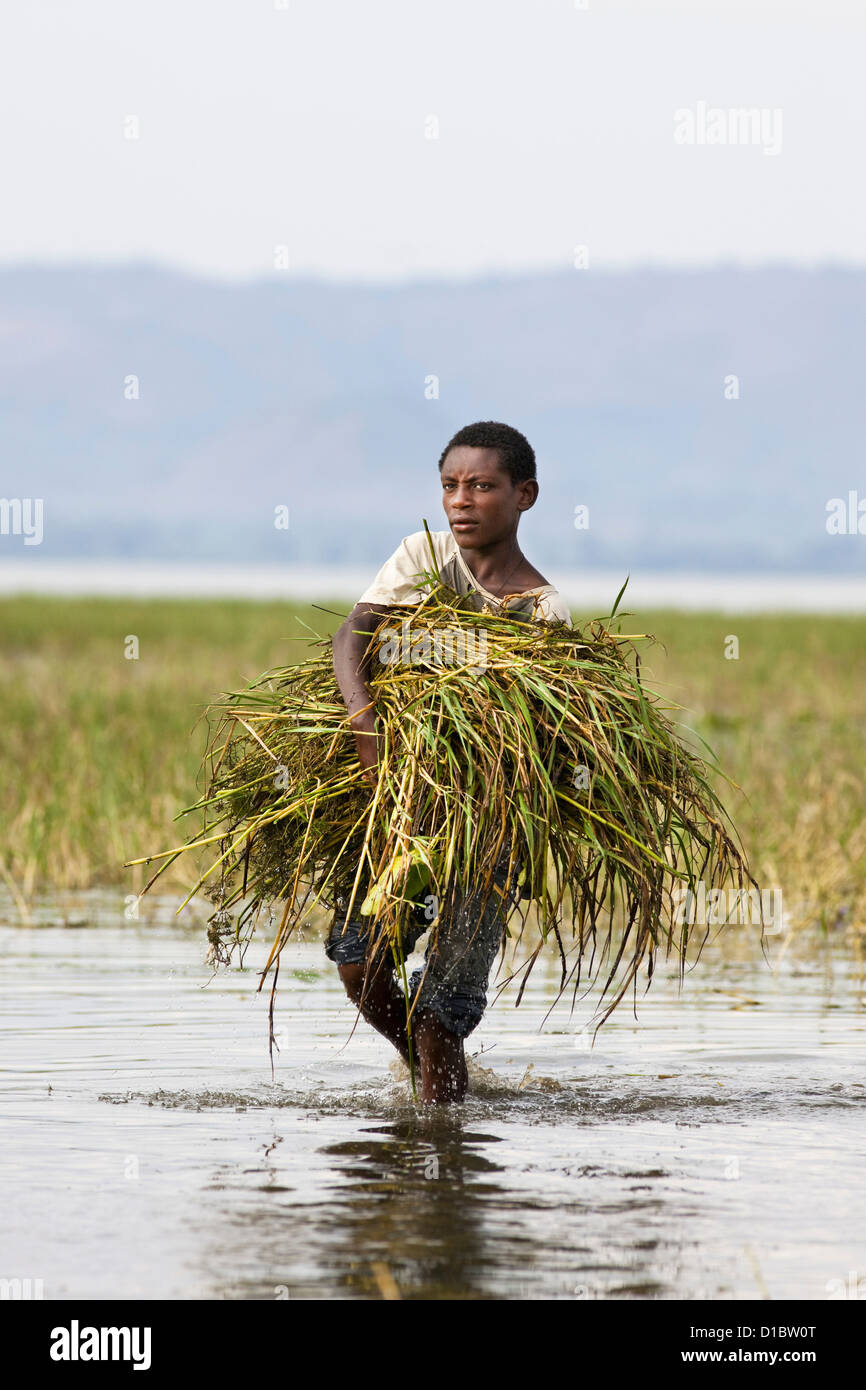 Fishermen on the fish market in Awasa, Ethiopia. the fishermen land