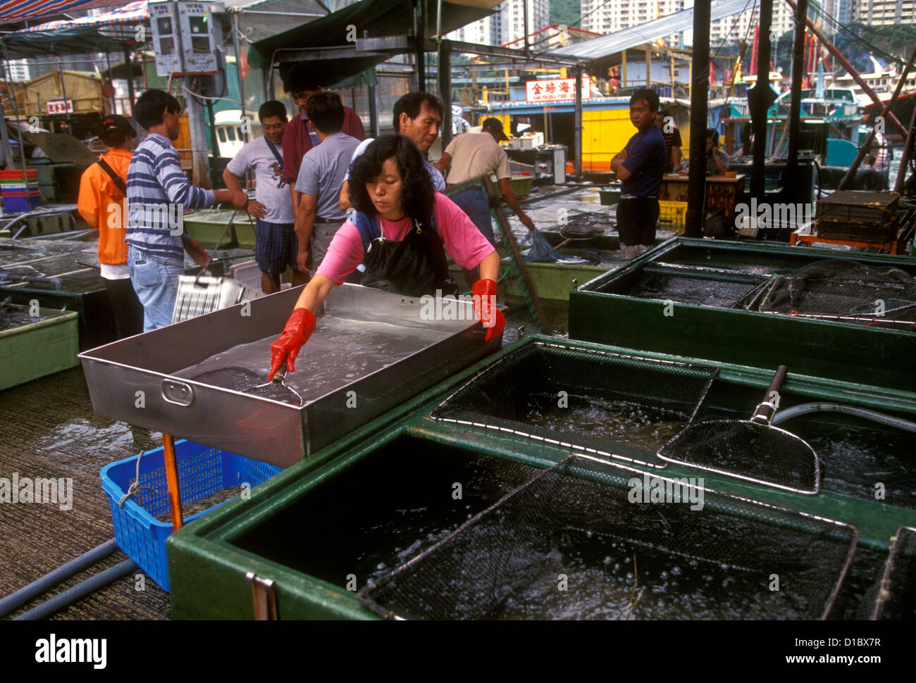Chinese woman, adult woman, seafood vendor, worker, working, Aberdeen