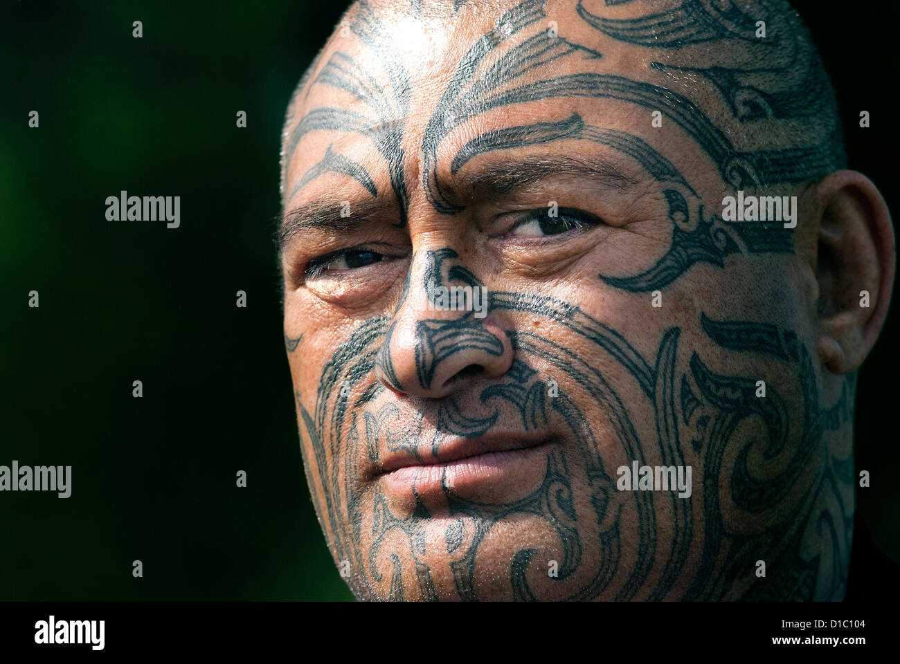 FEATURE : Traditional Maori tattoos getting under the world's skin - Taipei  Times