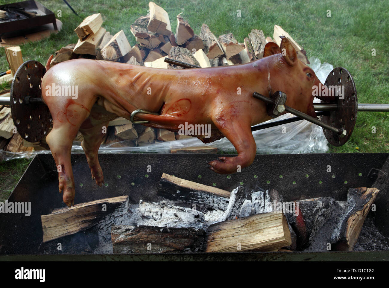Suckling pig is roasted on a spit over open fire on wood burning stove  Stock Photo - Alamy