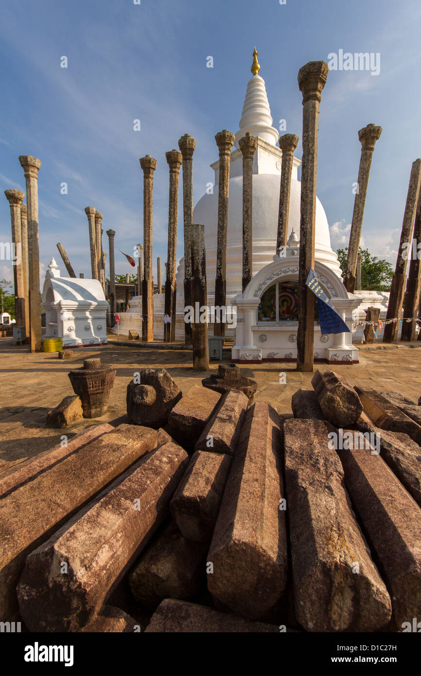 Stone pillars around Thuparamaya dagoba Stock Photo