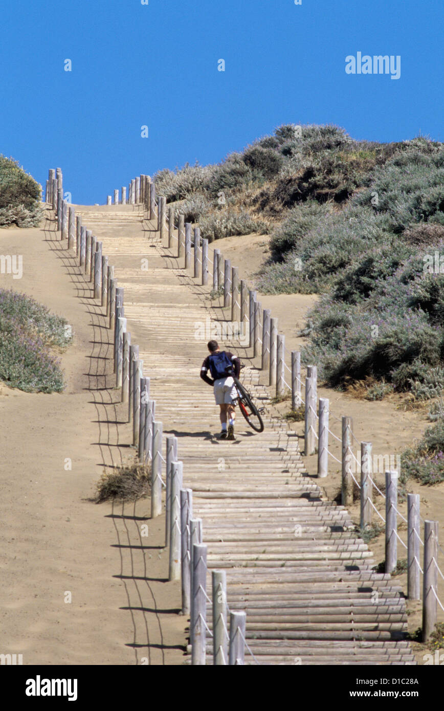 bicyclist climbing steps while carrying a  bike Stock Photo