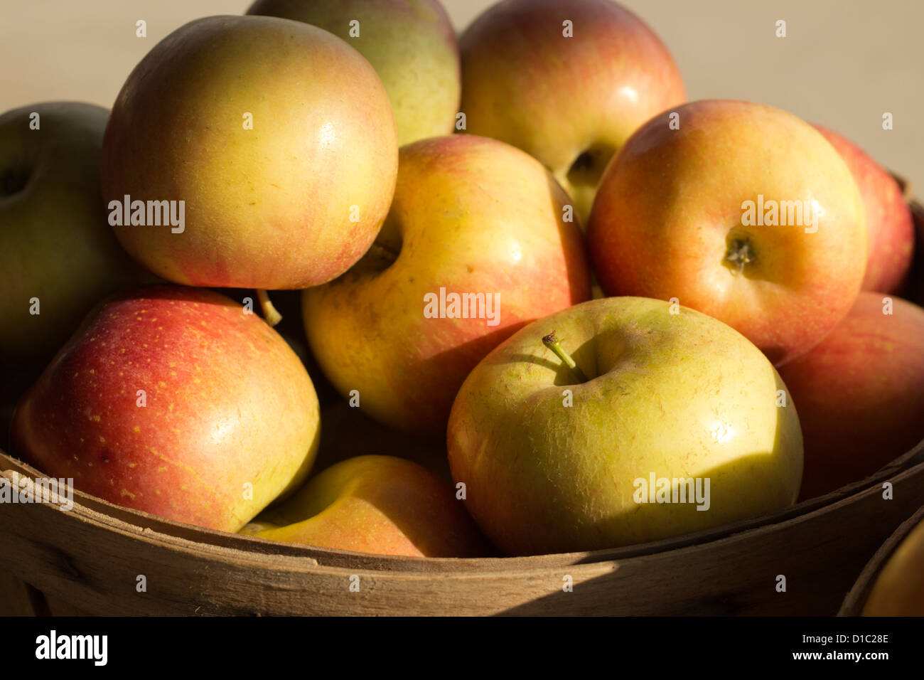 basket of stayman apples Stock Photo