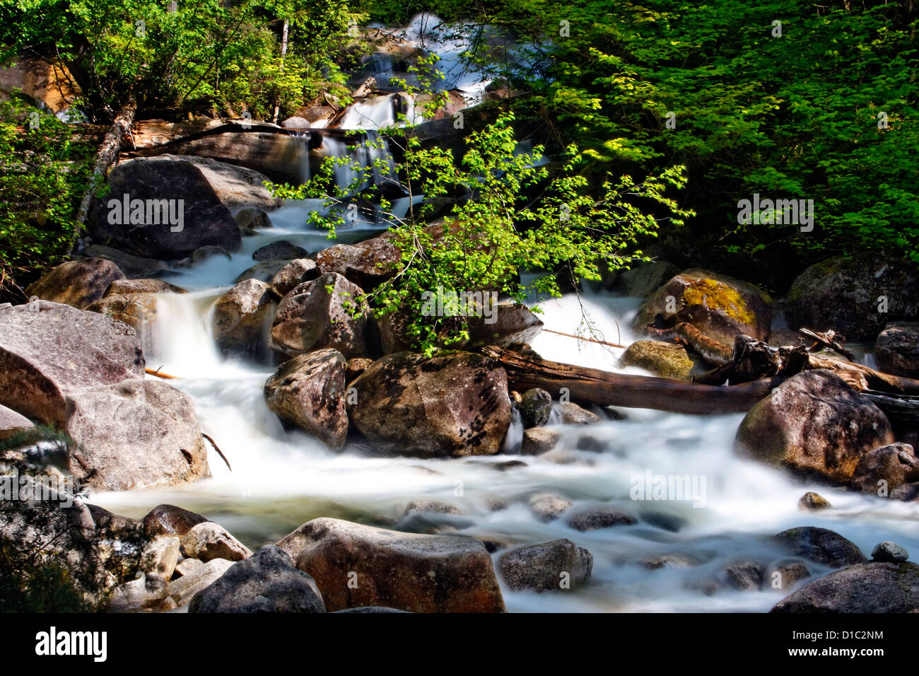 Waterfall in temperate rain forest Stock Photo