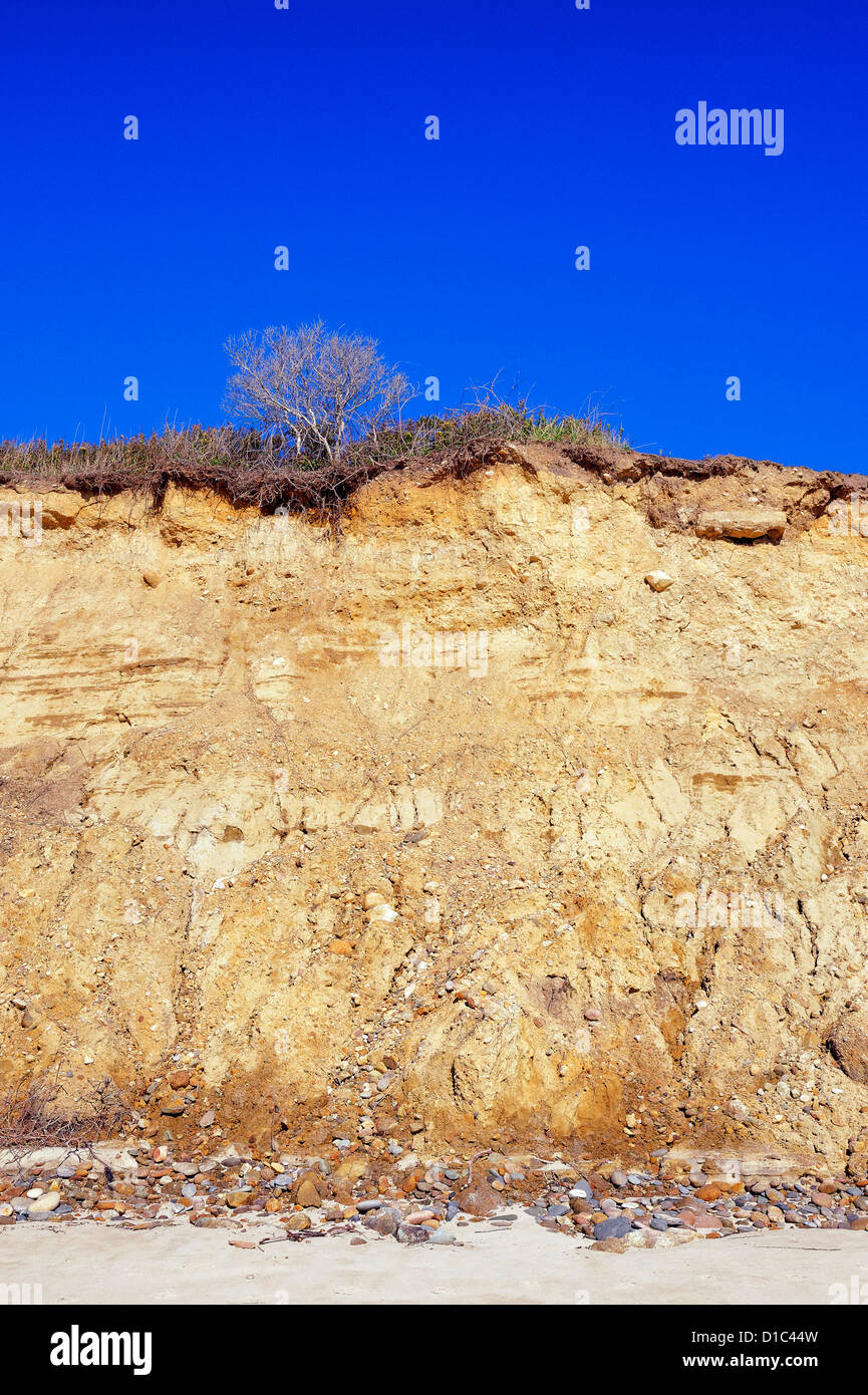 Clay cliffs, Squibnocket Beach, Martha's Vineyard, Massachusetts, USA. Stock Photo