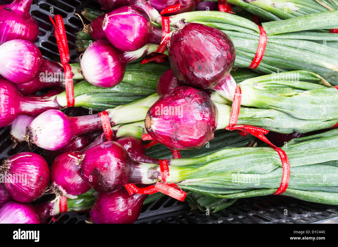 Display of fresh red onions at the market Stock Photo - Alamy